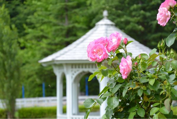 rblog-20170705084638-04.jpg