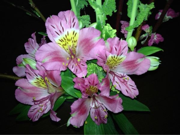 rblog-20140301211002-01.jpg