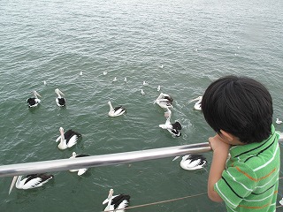 IMG_5296.jpg