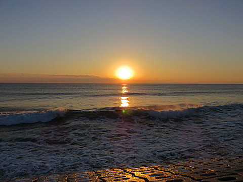 IMG_0908.jpg