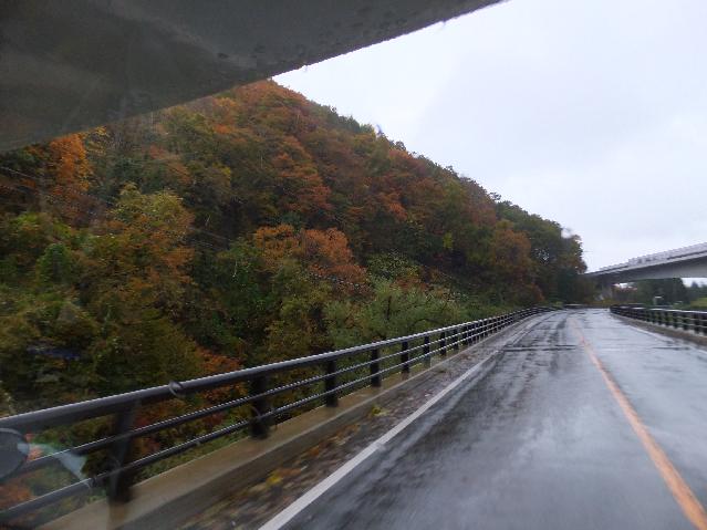 DSCF2706.jpg