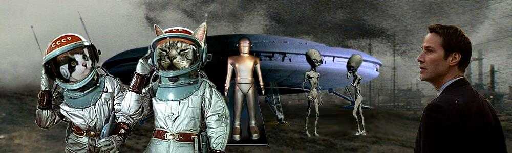 耳（ミミ）とチャッピの布団