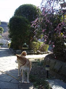 意識は向こう
