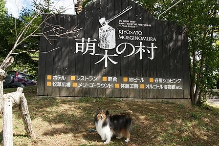 DSC03907.jpg