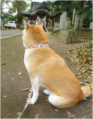 0102初詣10.jpg