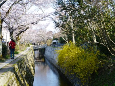 P1010432.JPG