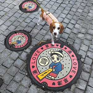 20160903マンホール