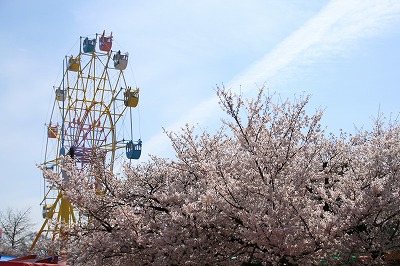 IMG_7084.jpg