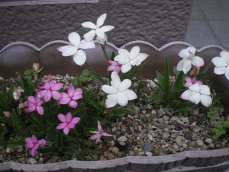 IMGP6504.JPG