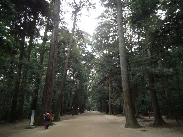DSCF2171.JPG