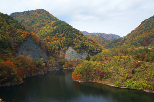 11.13 mizugakiko.jpg