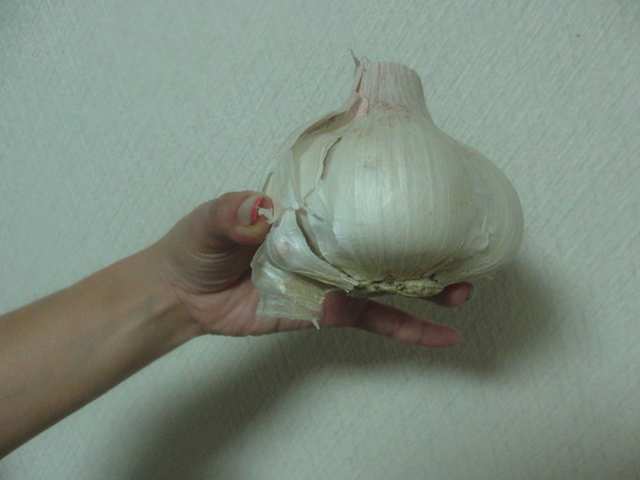 CIMG7610_R.JPG