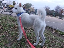 DSCF6332.JPG