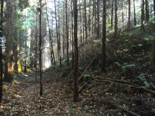 徳次郎城本丸土塁 (500x375).jpg