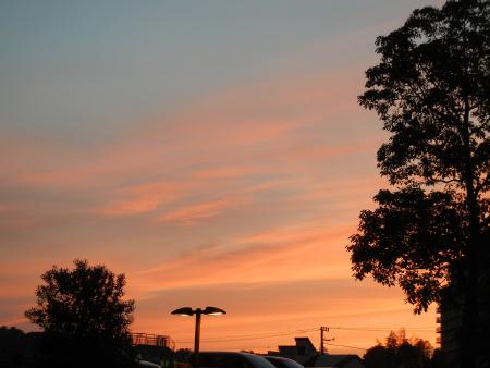 DSCN3730.JPG