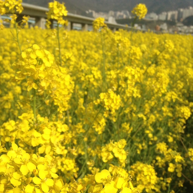 rblog-20140408190251-00.jpg