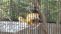 rblog-20130413115642-01.png