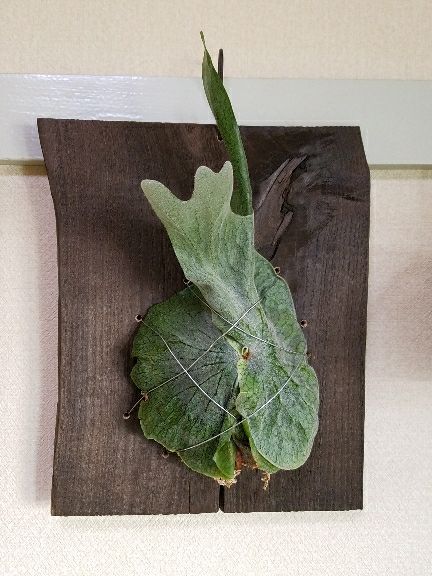 rblog-20180408121938-04.jpg