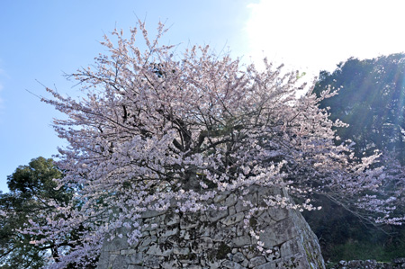 城3