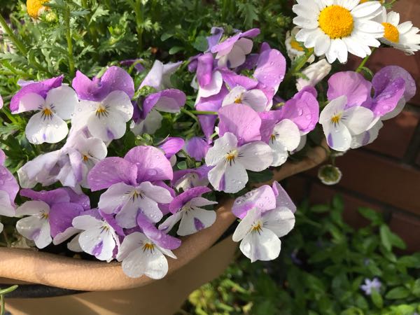 rblog-20190401163447-06.jpg