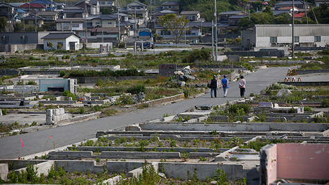 fukushima-2.si.jpg