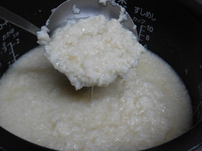 DSCN0220 (400x300).jpg