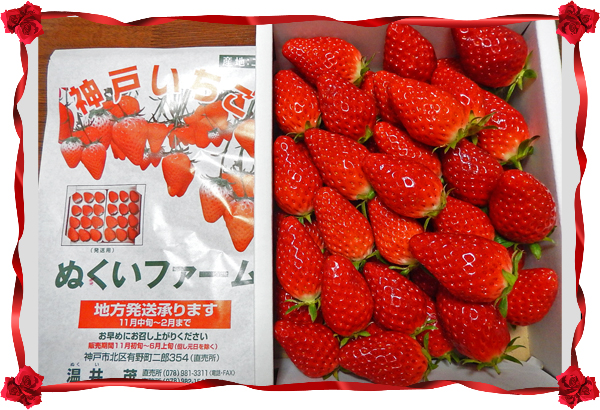 イチゴ