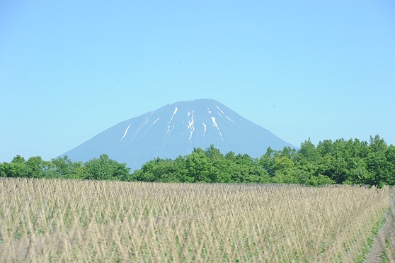 北海道旅行２ 154.JPG