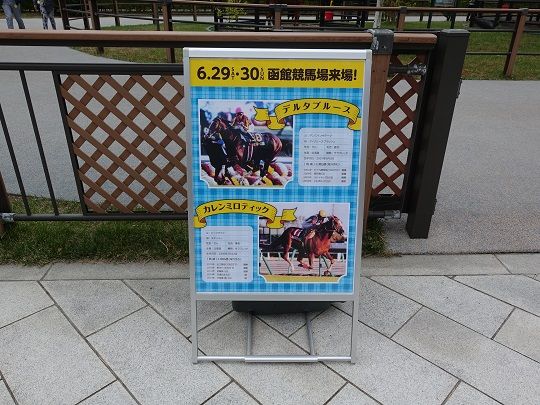 函館ざっけい 地方競馬の楽天競馬 日替わりライターブログ 楽天ブログ