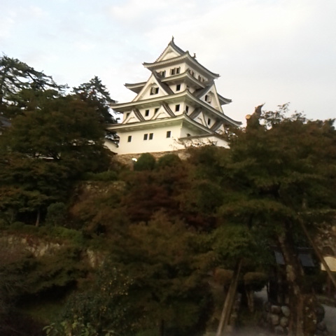 郡上八幡城