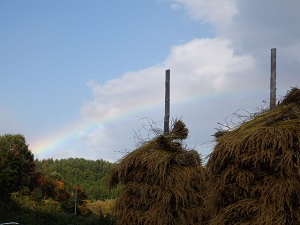 PA270009.JPG