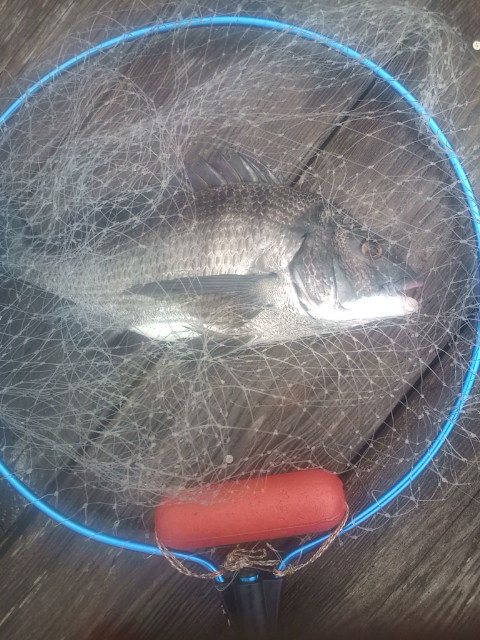 20120804121219.jpg
