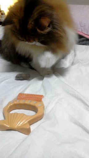20140801005047.jpg