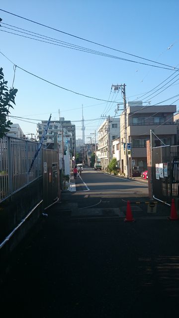 2015-08-22 16.32.38.jpg