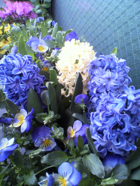 2012032617490000.jpg