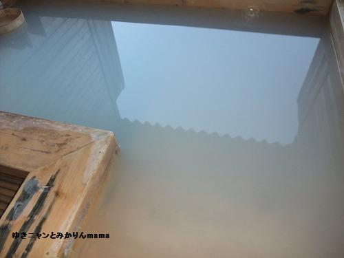DSCF1555.jpg