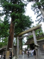 伊勢神宮　外宮　たて-1.jpg
