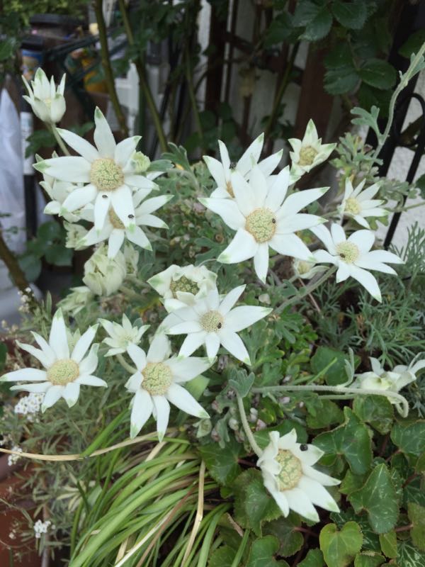 rblog-20160612202326-05.jpg