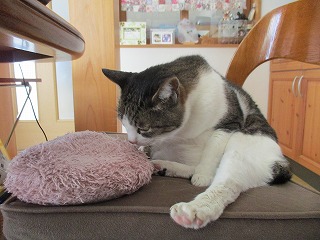 IMG_5604ss.jpg
