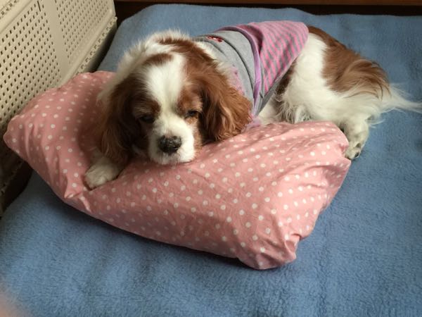 rblog-20160117212750-03.jpg