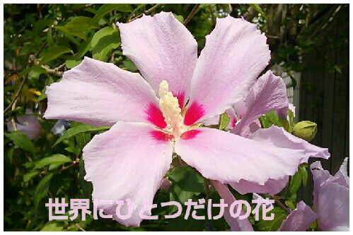 rblog-20160711224345-00.jpg