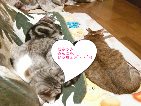 gLYxfydn_z7Hbyn1451631183_1451631761.png