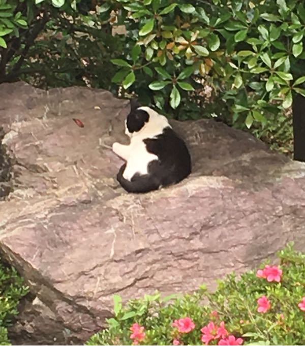 rblog-20180605130157-01.jpg