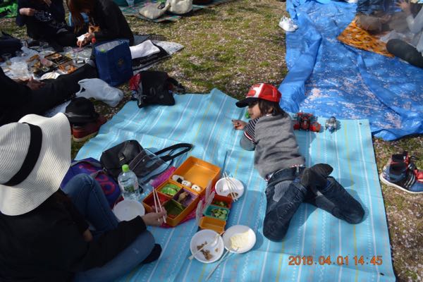rblog-20180403112921-01.jpg