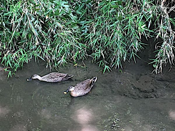 rblog-20180622201108-05.jpg