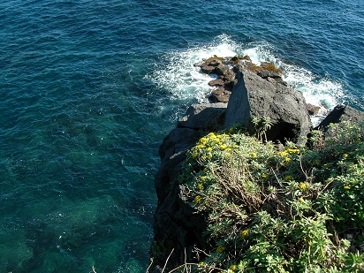 海綺麗.jpg