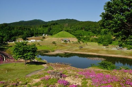 横手市 大松川ダム公園 芝桜以外をご紹介 旅とメシと鉄と酒と温泉と あと何だ 楽天ブログ