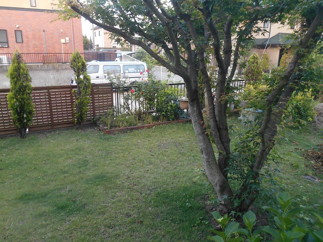 DSCN0459.JPG