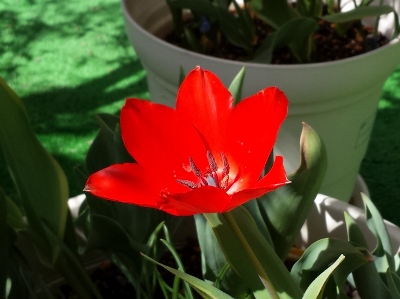 20160415_095003 (400x299).jpg