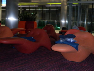 006.JPG